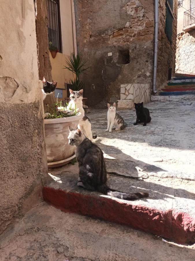 Apartament Quattro Gatti Agrigento Zewnętrze zdjęcie